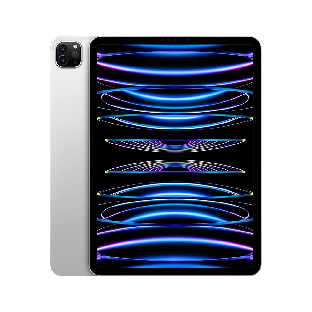 Apple iPad Pro 4 Gen. 2022 | 11" Ricondizionato